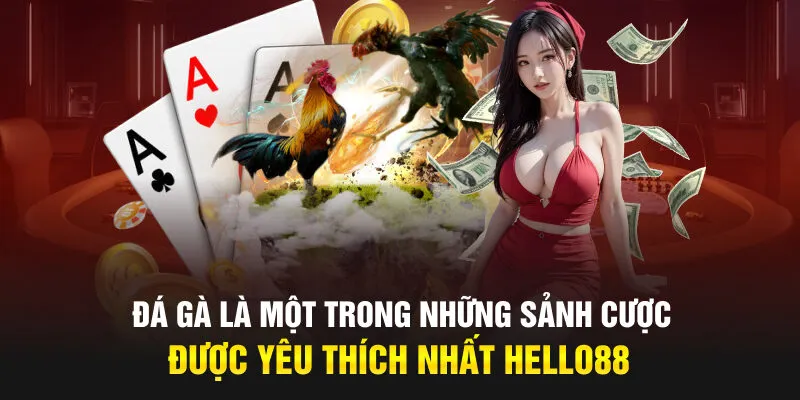 Đá gà là một trong những sảnh cược được yêu thích nhất Hello88