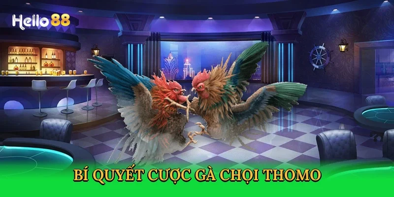 bi-quyet-cuoc-ga-choi-thomo-4