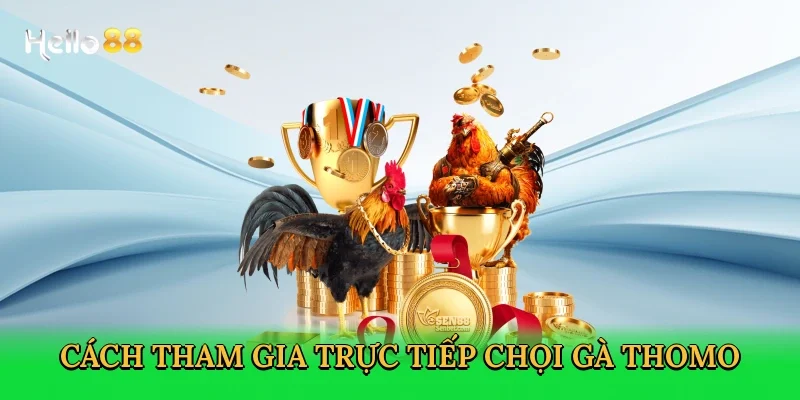 cach-tham-gia-truc-tiep-choi-ga-thomo-3
