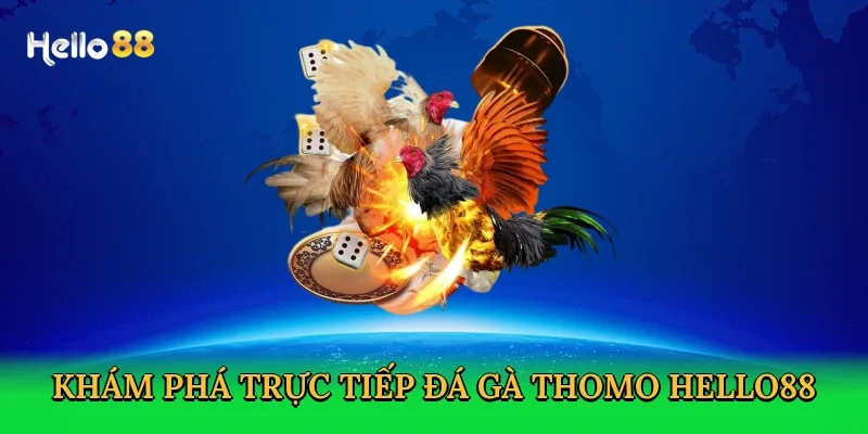 kham-pha-truc-tiep-da-ga-thomo-hello88-2
