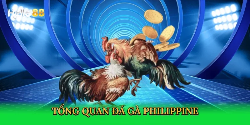 tong-quan-da-ga-philippine-2