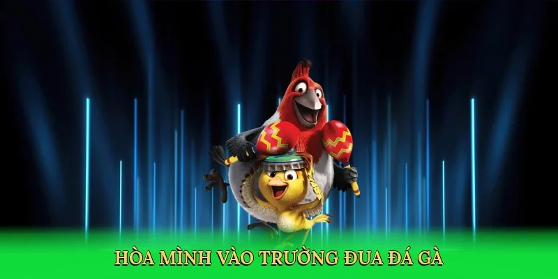 Hòa mình vào trường đua đá gà