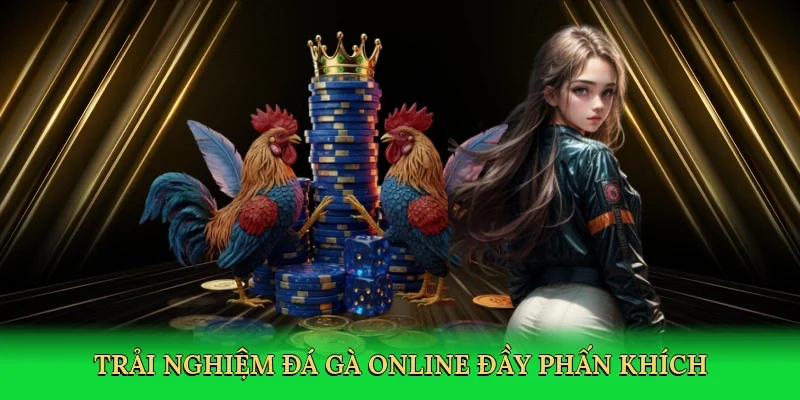 Trải nghiệm đá gà online đầy phấn khích